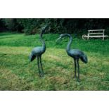 Pair of bronze storks. { 98cm H X 87 cm D }.