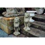 Pair of cast stone seated lions. { 54cm H }.