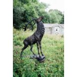 Exceptional quality cast bronze model of a life size majestic stag. {228 cm H X 42cm W X 142cm D }.