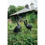 Pair of cast bronze Geese. { 120cm H }.