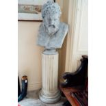 Large bust of Hercules raised on a fluted column.