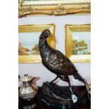 Bronze model of a pheasant mounted on a marble base. { 57cm H }.