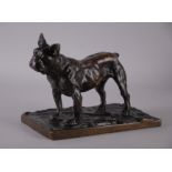 VEDANI MICHELE - Milano, 1874-1969. Scultura in bronzo patinato raff. ''BOULEDOGUE FRANCESE''.