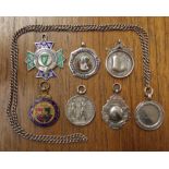 SELECTION OF SILVER AND ENAMEL MEDALLIONS - AGRICULTURAL SOCIETY,