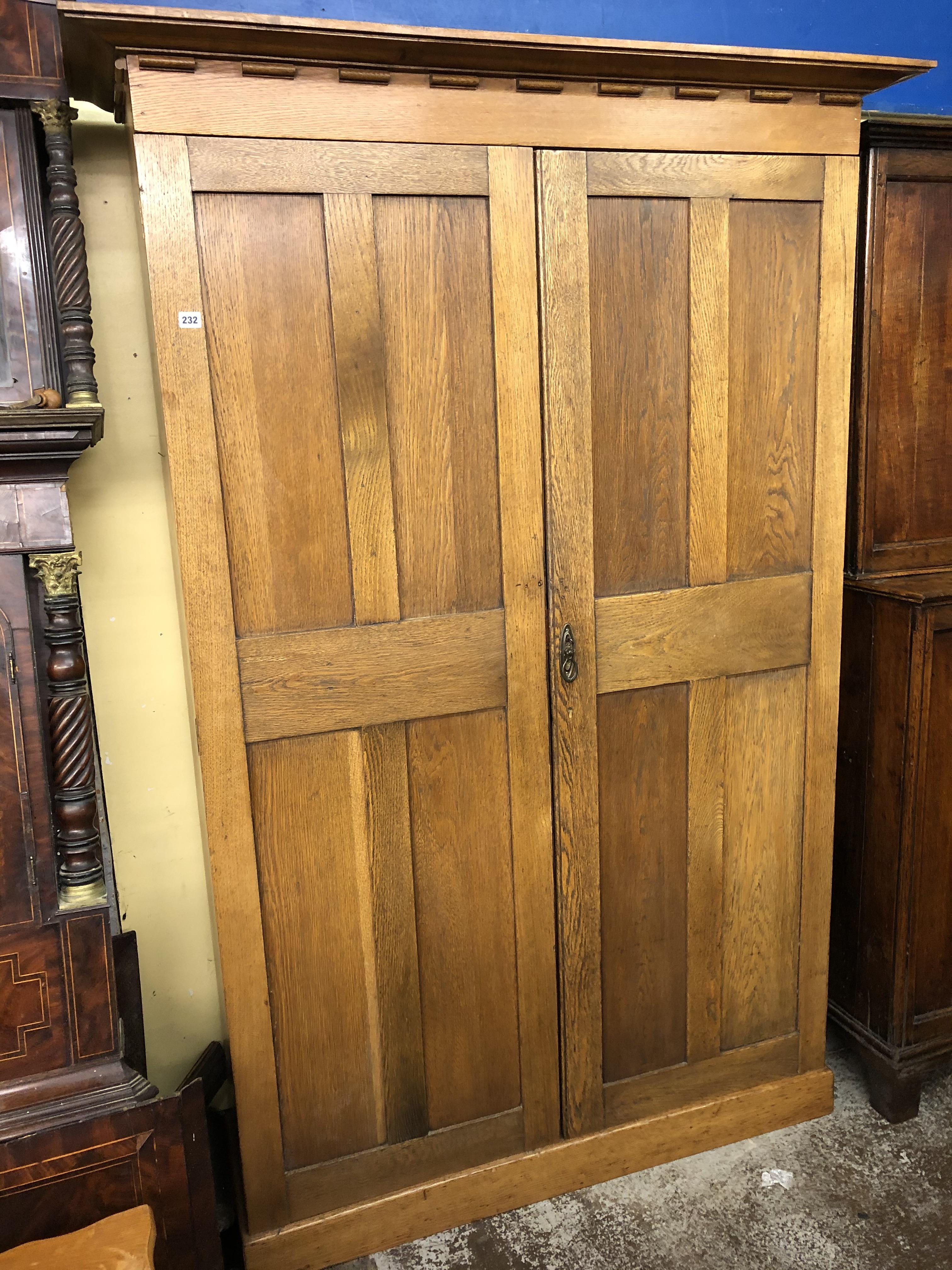 EDWARDIAN OAK NARROW CUPBOARD WITH MOULDED CORNICE,