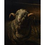 Béla Pállik (1845-1908), THE HEAD OF A RAM, 1897, Oil on canvas; signed and dated 1897 lower right,