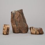 Three Pieces Petrified Wood, Late Triassic Period, tallest height 6 in — 15.2 cm (3 Pieces)