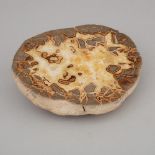 Septarian Nodule, diameter 8 in — 20.3 cm