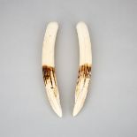 Pair of Walrus Tusks, early 20th century, length 15 in — 38.1 cm