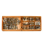 A wooden museum storage box containing two trays of various fossil Molluscs and Brachiopods from the