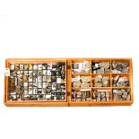 A wooden museum storage box containing two trays of various fossils from the Cretaceous period of