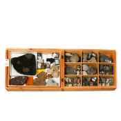 A wooden museum storage box containing two trays of various fossils. Including; Ammonites,