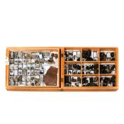 A wooden museum storage box containing two trays of mostly Ammonite fossils from England and France.