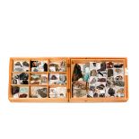 A wooden museum storage box containing two trays of minerals. Including specimens of amazonite,