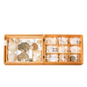 A wooden museum storage box containing two trays of fine specimens of fossil Molluscs from the