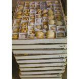 16x trays of fossil shells. A substantial collection of fossil shells, etc. Some on chalk matrix. £