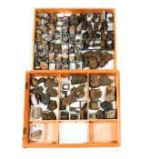 A wooden museum storage box containing two trays of various fossils from the Palaeozoic period of