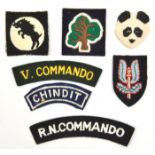 4 cloth formation badges: 46th Division, 30 Corps, 9th Armoured and SAS; 3 embroidered shoulder