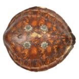 A Rajasthani shield made from a turtle shell. 48 x 44cms, fitted with 4 fluted bosses of flower-head