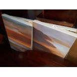 A set of modern canvas prints