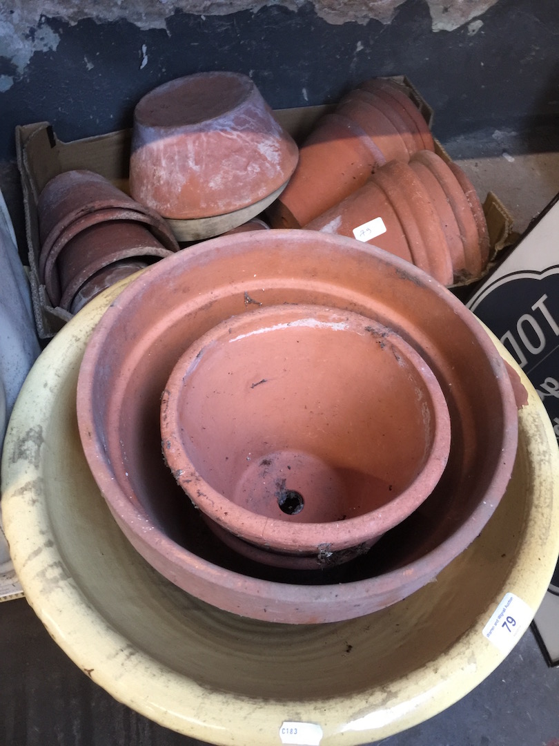 Large quantity of terracotta planters