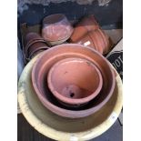 Large quantity of terracotta planters