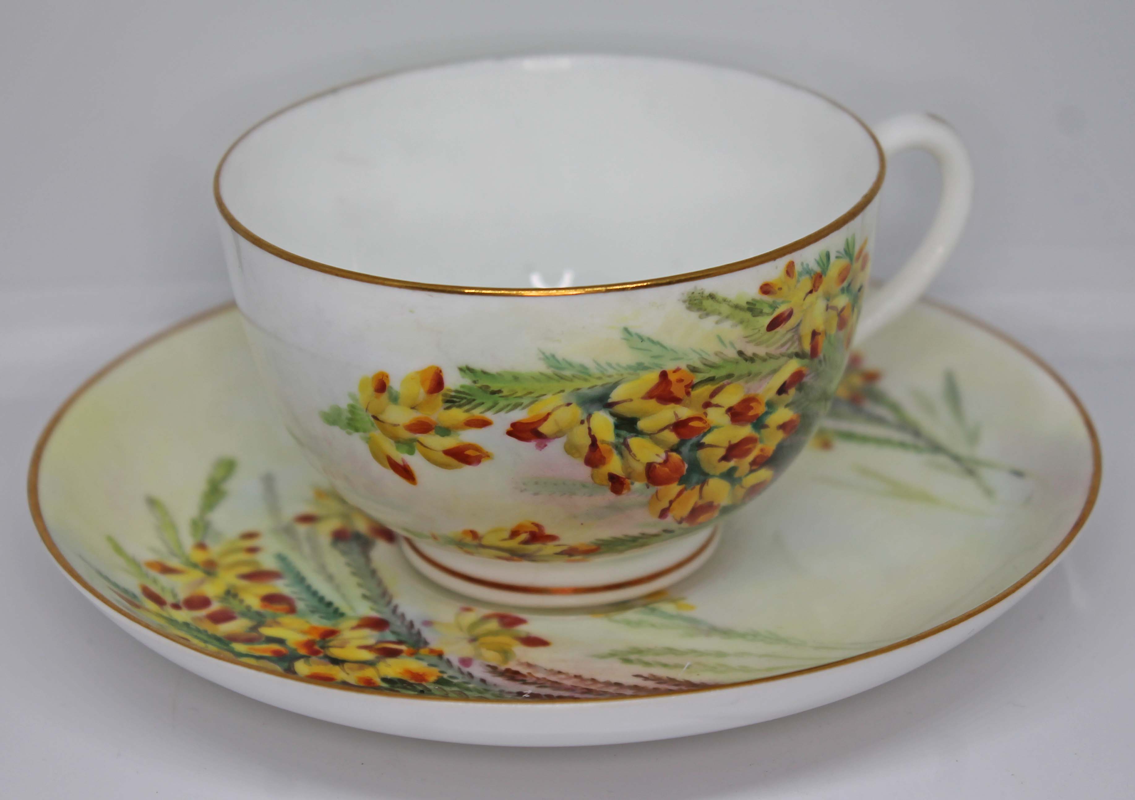 A Royal Worcester botanical 18 piece part tea service comprising three cups, saucers and two - Image 4 of 4