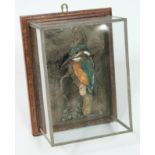 A taxidermy kingfisher, perched on a branch within a naturalistically formed background and housed