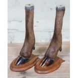 A pair of taxidermy hoof candlesticks.