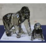 Swarovksi Endangered Wildlife Gorillas designed by Anton Hirzinger, boxed with certificate.