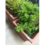 A pair of terracotta large square planters