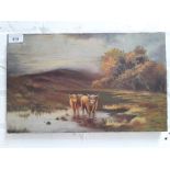 Highland cattle, oil on canvas, unsigned, 41 x 26cm, unframed.
