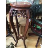 An eastern hardwood plant stand
