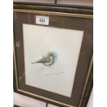 Robin Armstrong, Willow Warbler on branch, watercolour, signed, 18 x 23cm, framed and glazed