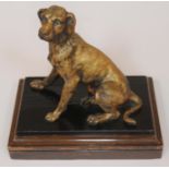 A gilt bronze study depicting a dog on ebonised and oak base, unmarked, height 25cm.