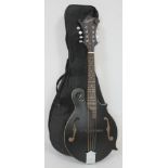 An Ozark hollow body electric mandolin with soft case.