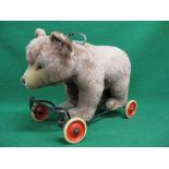 Steiff, mohair ride on bear mounted on a tubular frame with swivelling front wheels and grab handle,