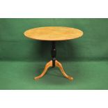 Biedermier style gold birch tip top centre table having circular top supported on urn shaped column
