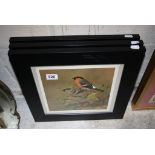 J F Landsdowne 1962 Three Ornithological Prints of House Martins, Goldcrest, Wren and Bullfinches