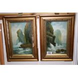 Pair of Late 19th / Early 20th century Oil Paintings of Rocky Shoreline with Birds, one signed H A