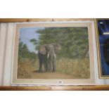 Oil on Board of an Elephant signed by S.A Artist Pat Mounter and dated 1964