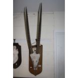 Oak shield mounted Oryx Beisa Taxidermy Skull with Horns, dated "Kenya 1928"