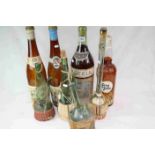 Eight vintage glass Alcohol bottles to include Chianti and over size Shop Display examples