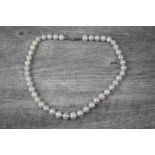 Freshwater Pearl Necklace with Silver Clasp