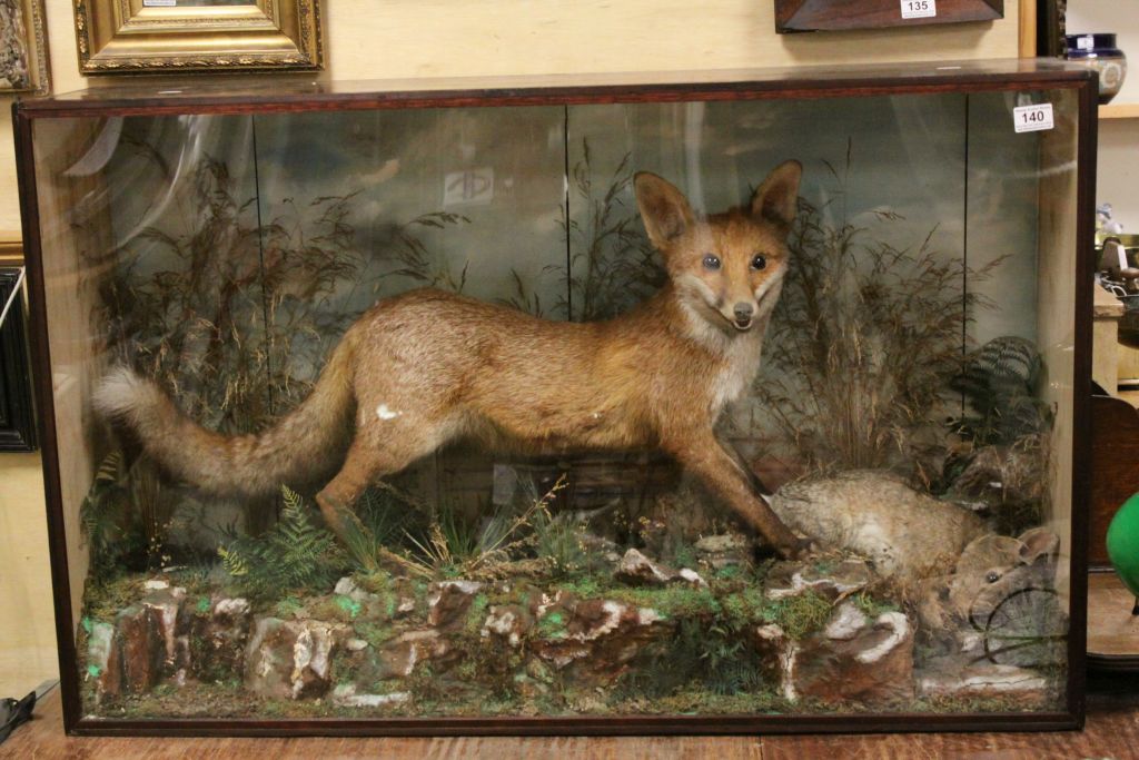 Large cased Taxidermy of a Fox with its catch, a rabbit, approx 44" x 28" in good condition