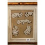 Early 20th century Cecil Aldin Print of A West Highland White Terrier