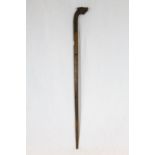 Hardwood Walking Stick with the handle in the form of a Pigs Head