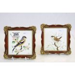 Two framed Hand painted Rosenthal Tiles, depicting a Bullfinch & Wren, both approx 14 x 14cm