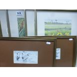 Set of Four Framed and Glazed Limited Edition Signed Michael Warren Bird Prints being Snipe with