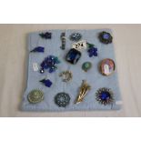 Sixteen vintage brooches to include diamante and paste, blue wild flowers etc